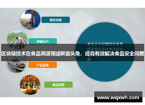 区块链技术在食品溯源领域崭露头角，或将有效解决食品安全问题